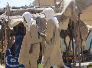 Article : La crise au Mali et l&rsquo;imminence du d&eacute;ploiement d&rsquo;une force internationale au Nord-Mali
