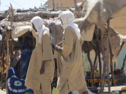 Article : La crise au Mali et l&rsquo;imminence du d&eacute;ploiement d&rsquo;une force internationale au Nord-Mali