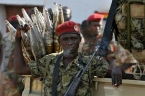 Article : Les forces étrangères en intervention au Mali font à la fois des martyrs et des exploits